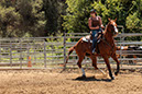 %_tempFileNameVPR_cow_sorting_June_2024-38%