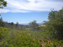 Cuyamaca